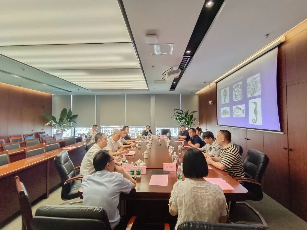暂无新闻图片